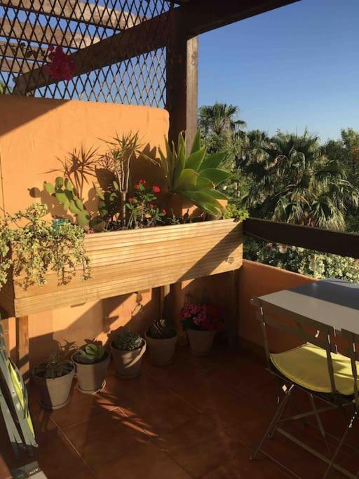 Superbe Appartement Avec Piscine A 800M De La Mer Bahia de Casares Esterno foto